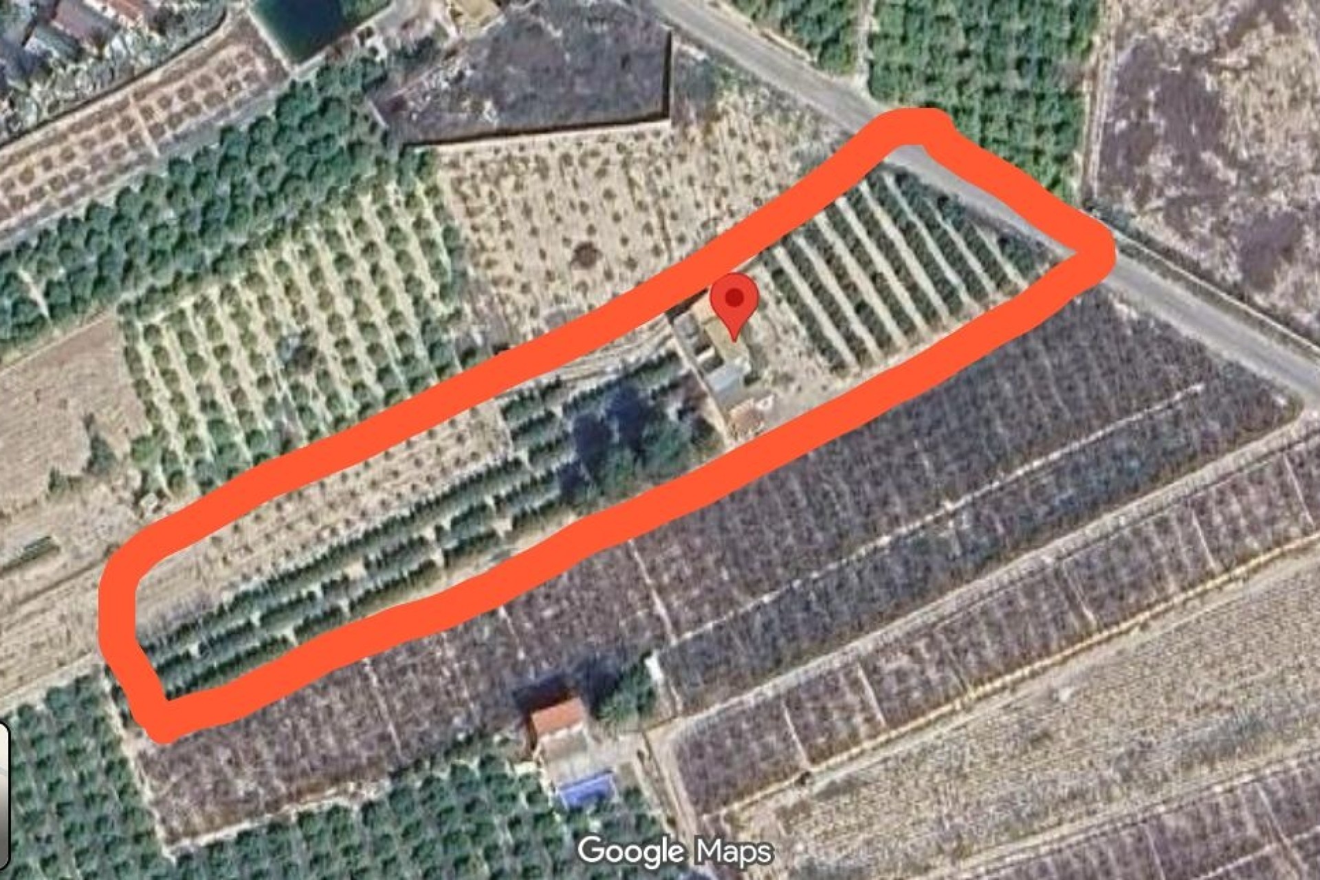 Venta - Finca / Casa de campo -
Albatera