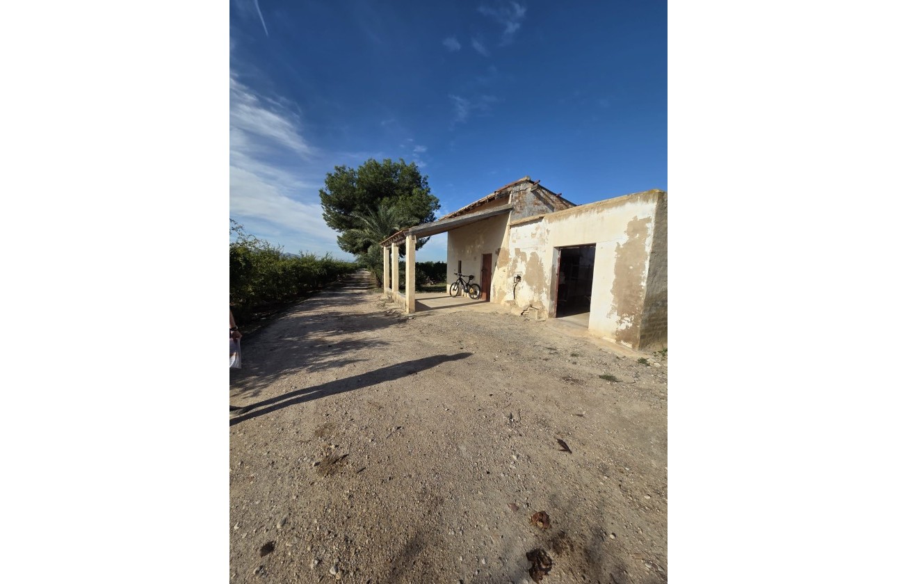 Venta - Finca / Casa de campo -
Albatera