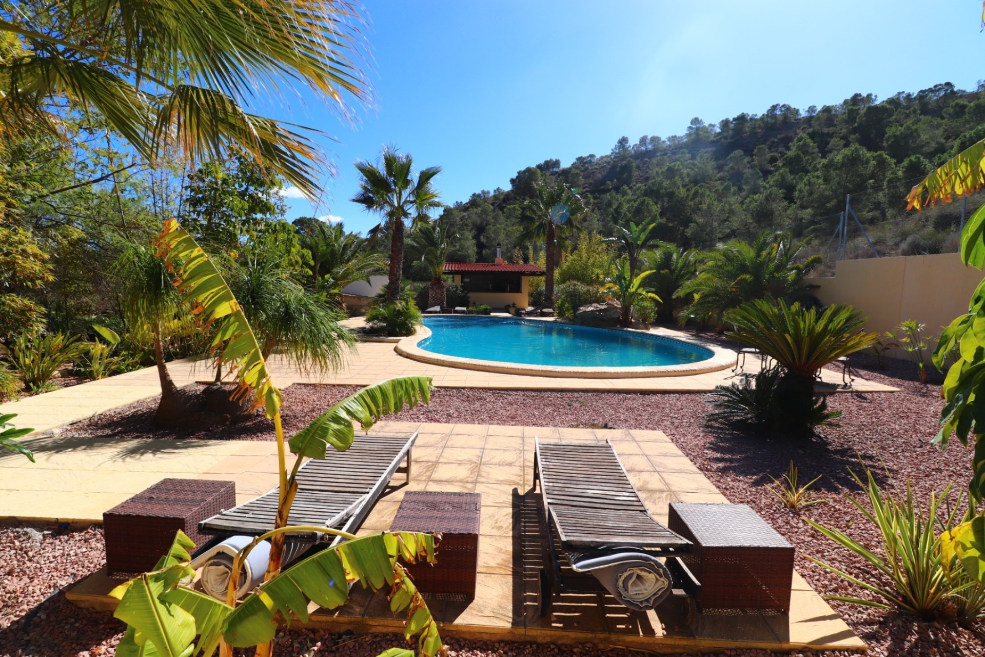 Venta - Finca / Casa de campo -
Aspe - Aspe - Country