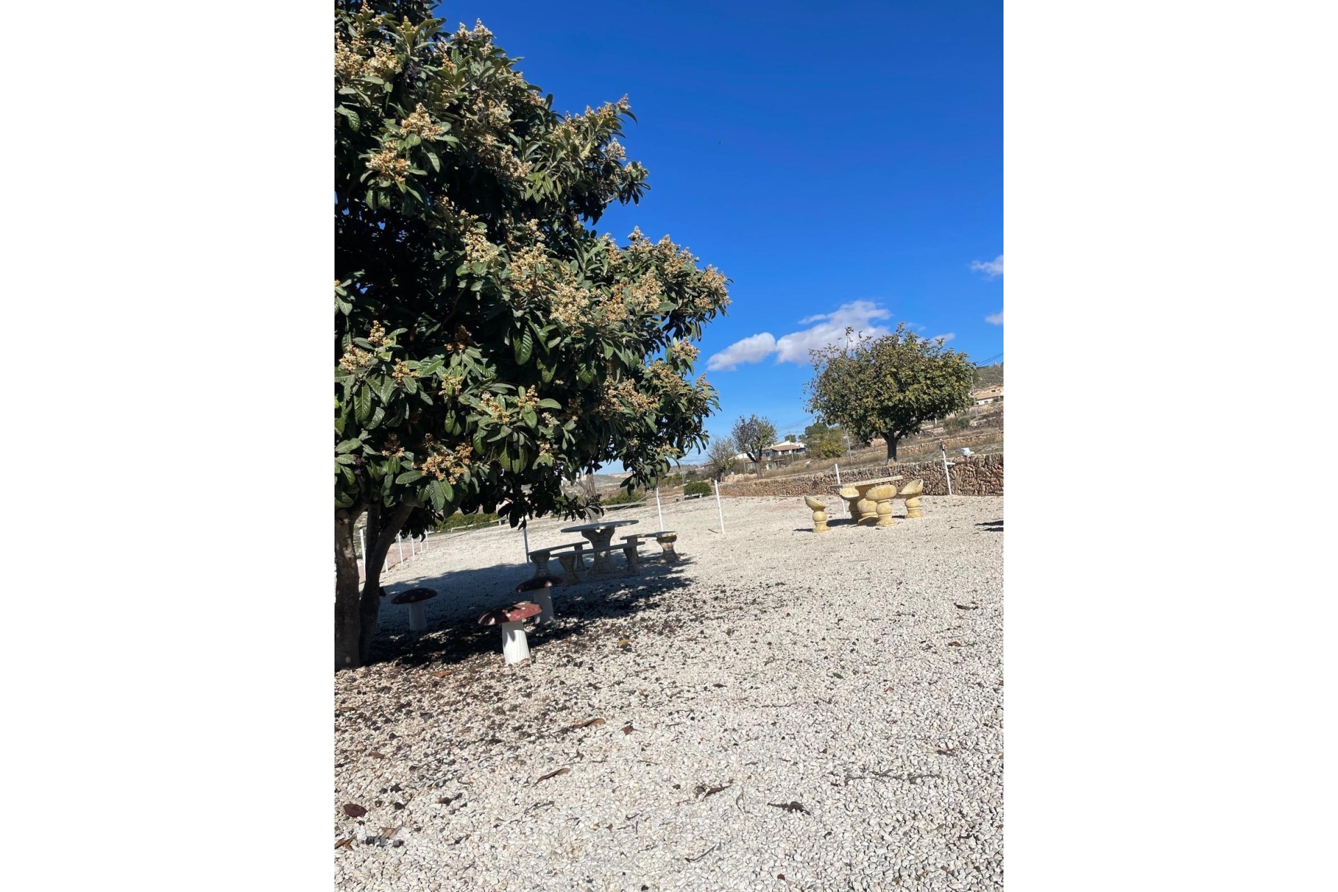 Venta - Finca / Casa de campo -
Ca&ntilde;ada del Trigo - Ca&ntilde;ada del Trigo Murcia