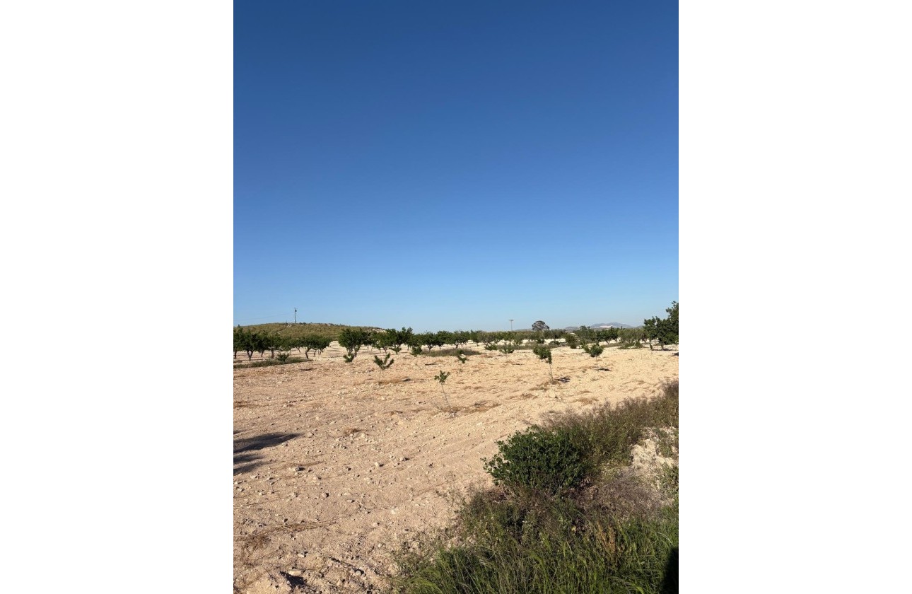 Venta - Finca / Casa de campo -
Cañada del Trigo - Canada del Trigo Murcia