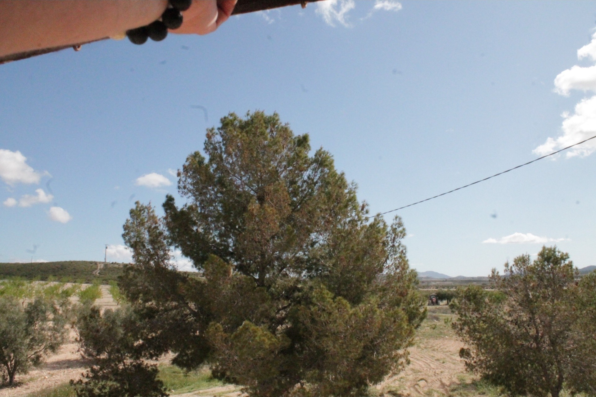 Venta - Finca / Casa de campo -
Cañada del Trigo