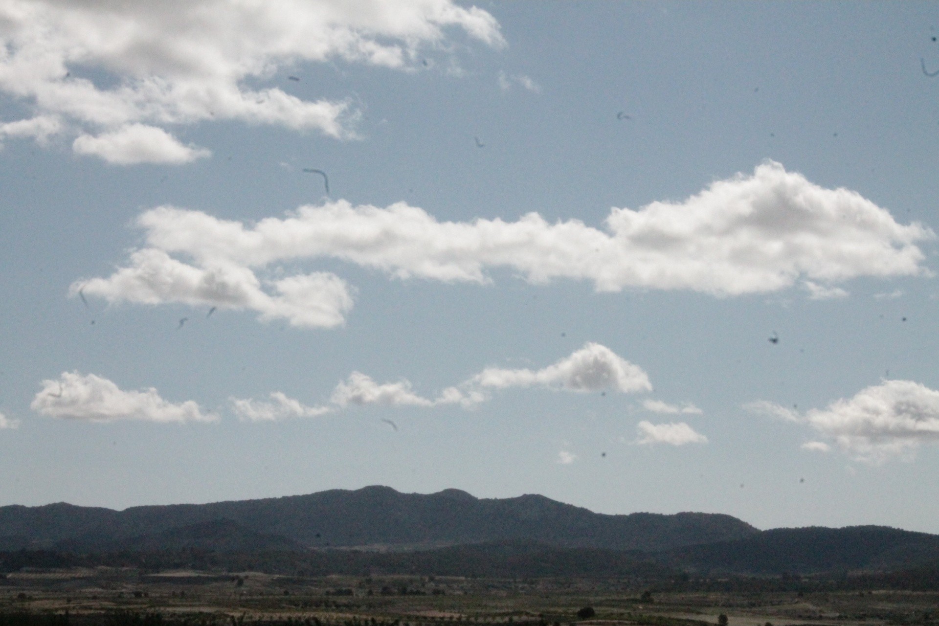 Venta - Finca / Casa de campo -
Cañada del Trigo