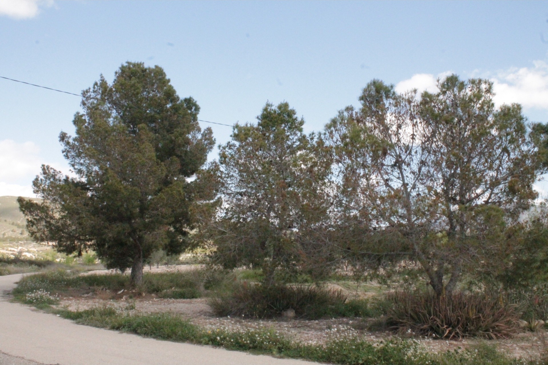 Venta - Finca / Casa de campo -
Cañada del Trigo