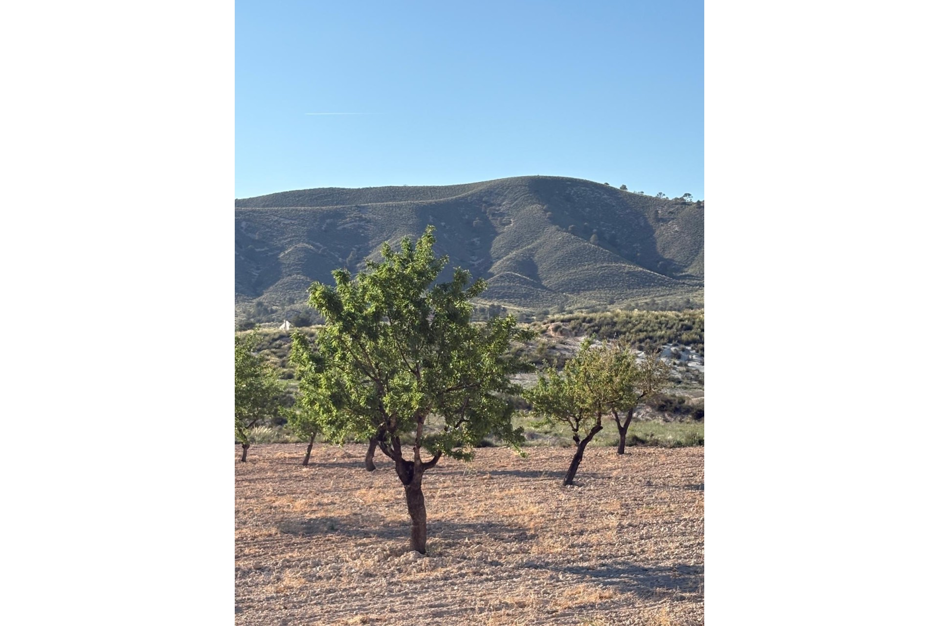 Venta - Finca / Casa de campo -
Cañada del Trigo