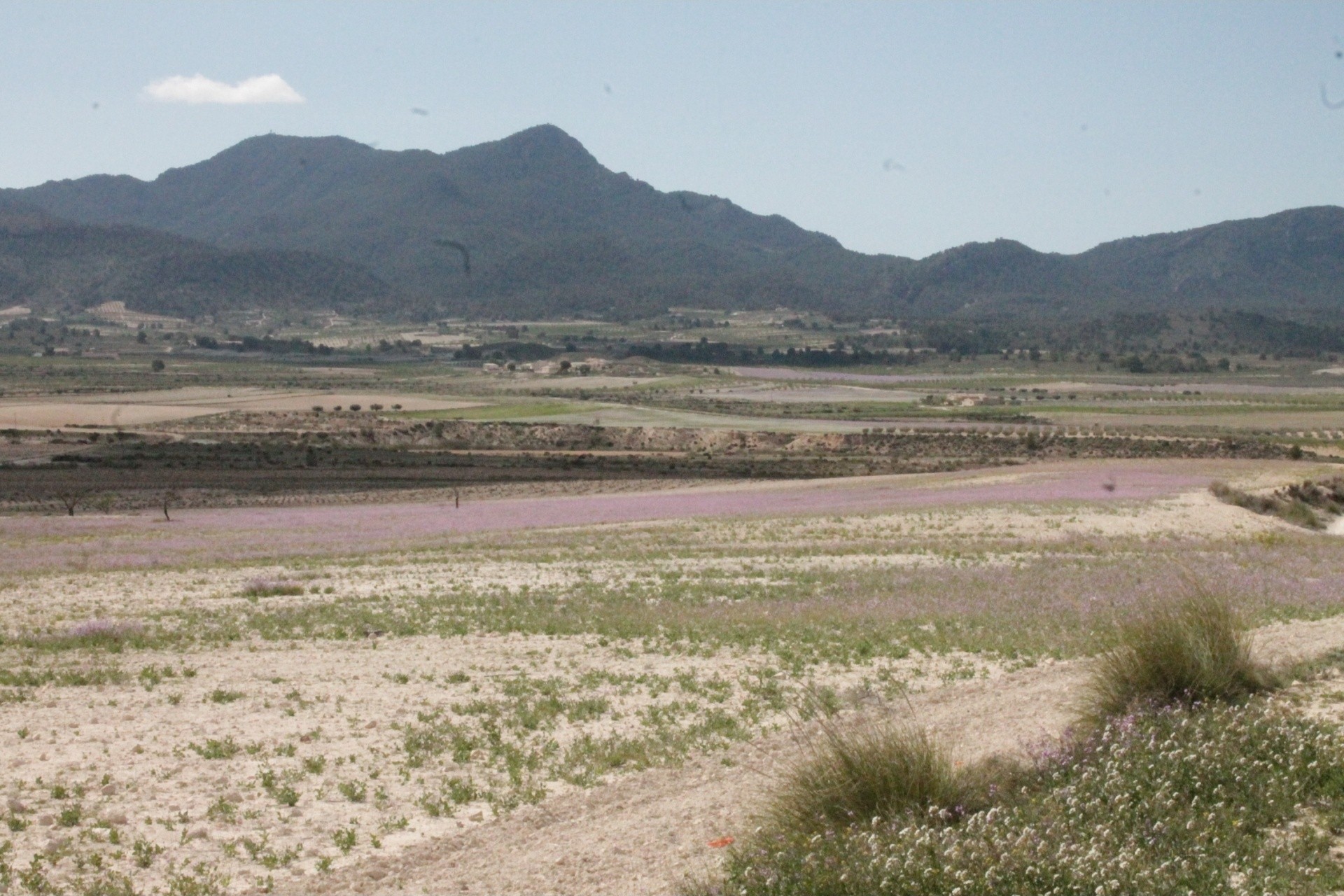 Venta - Finca / Casa de campo -
Cañada del Trigo