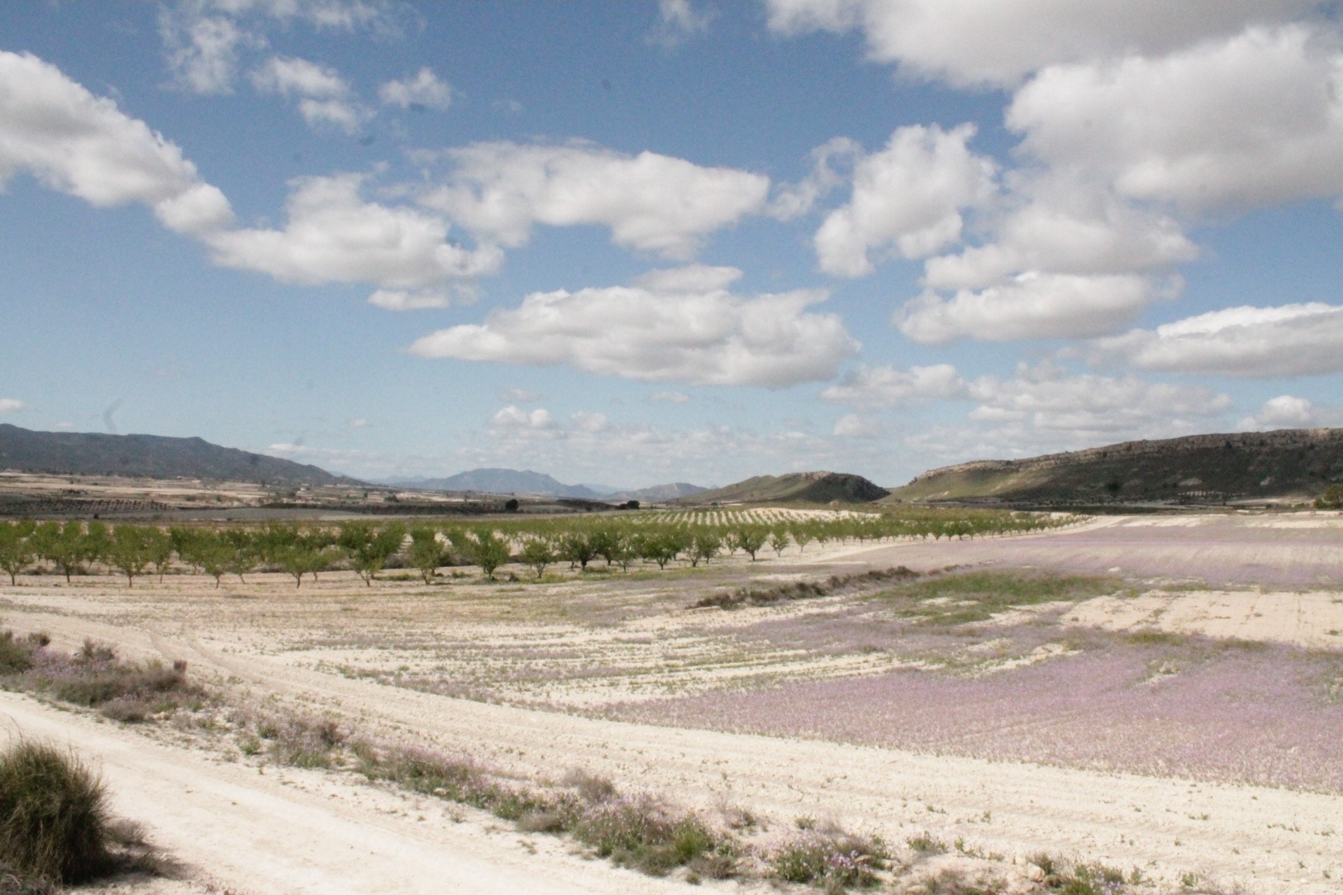 Venta - Finca / Casa de campo -
Cañada del Trigo