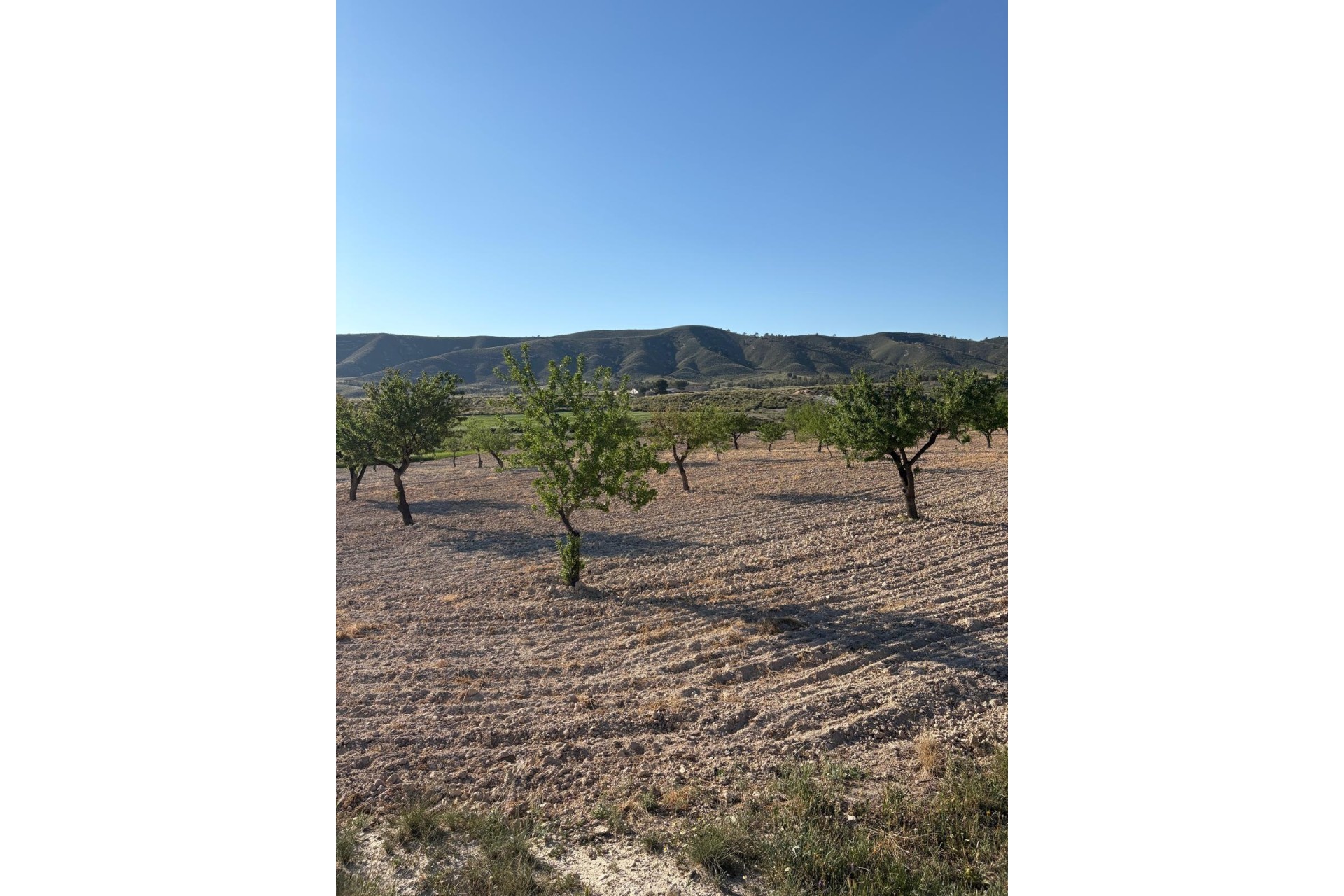 Venta - Finca / Casa de campo -
Cañada del Trigo