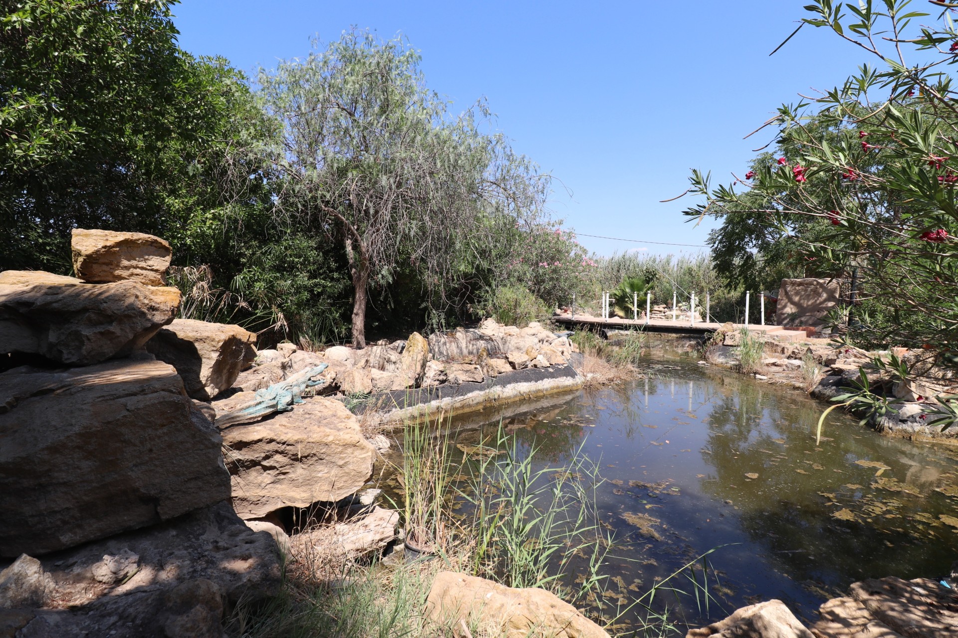 Venta - Finca / Casa de campo -
Catral - Catral - Country
