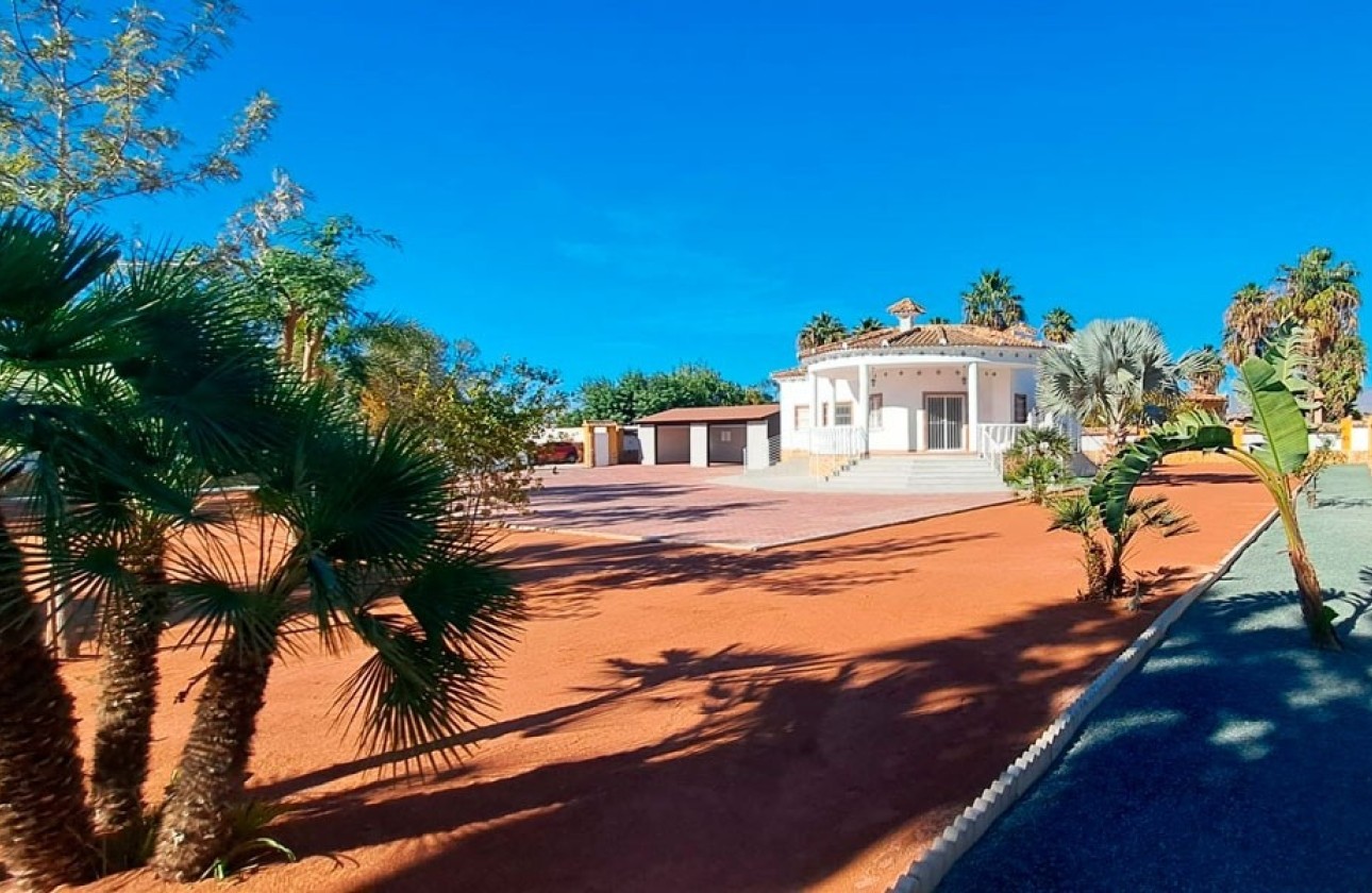 Venta - Finca / Casa de campo -
Catral