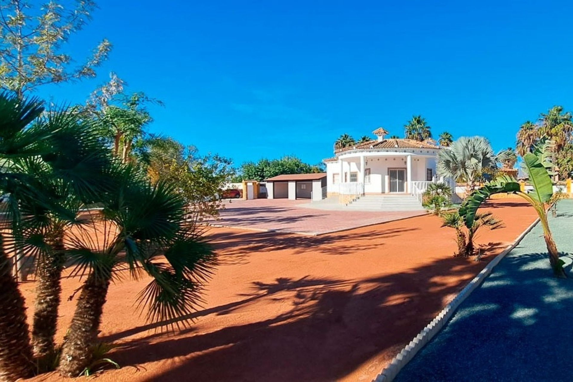 Venta - Finca / Casa de campo -
Catral