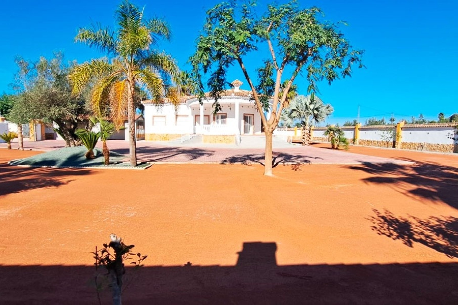 Venta - Finca / Casa de campo -
Catral