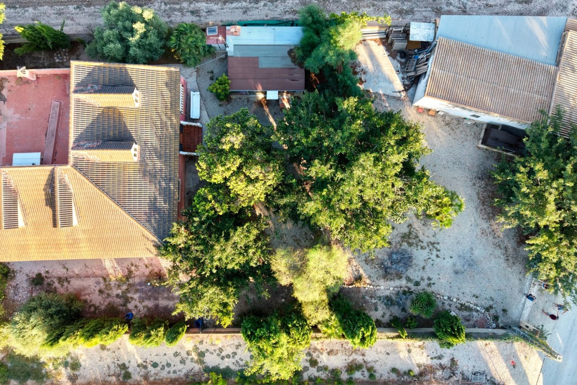 Venta - Finca / Casa de campo -
Catral