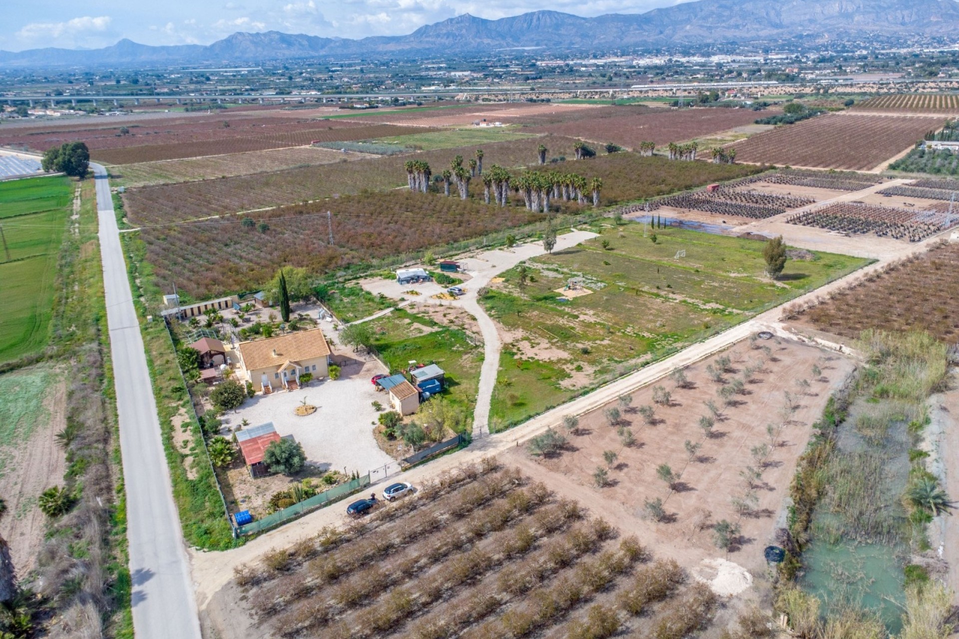 Venta - Finca / Casa de campo -
Crevillente