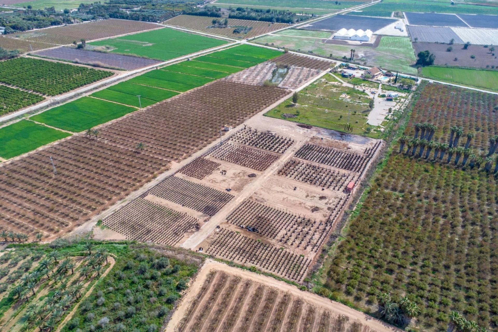 Venta - Finca / Casa de campo -
Crevillente