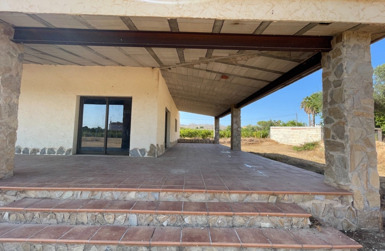 Venta - Finca / Casa de campo -
Elche - Matola