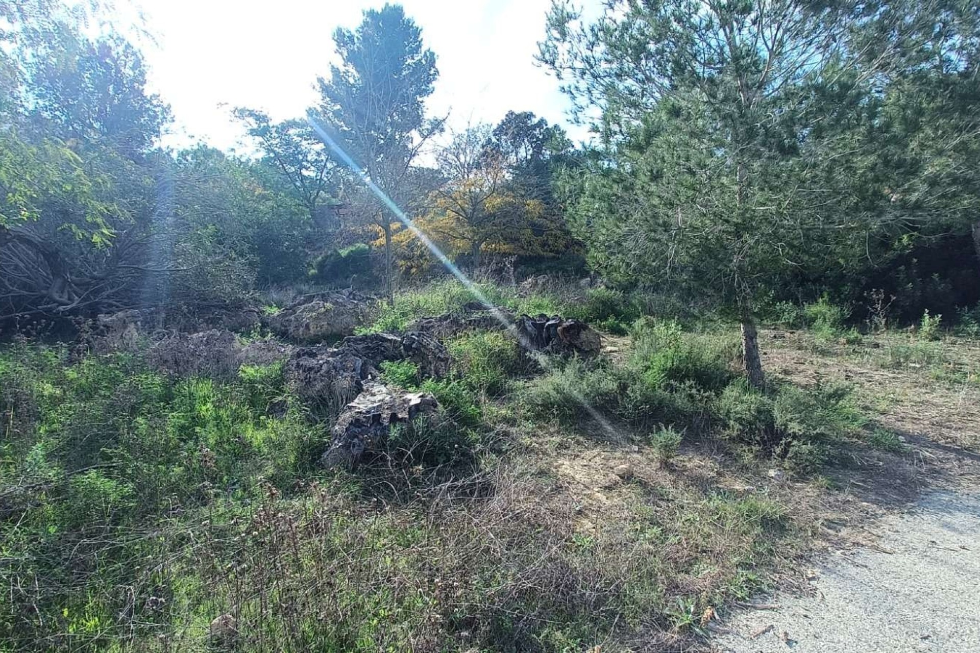 Venta - Finca / Casa de campo -
Gea y Truyols