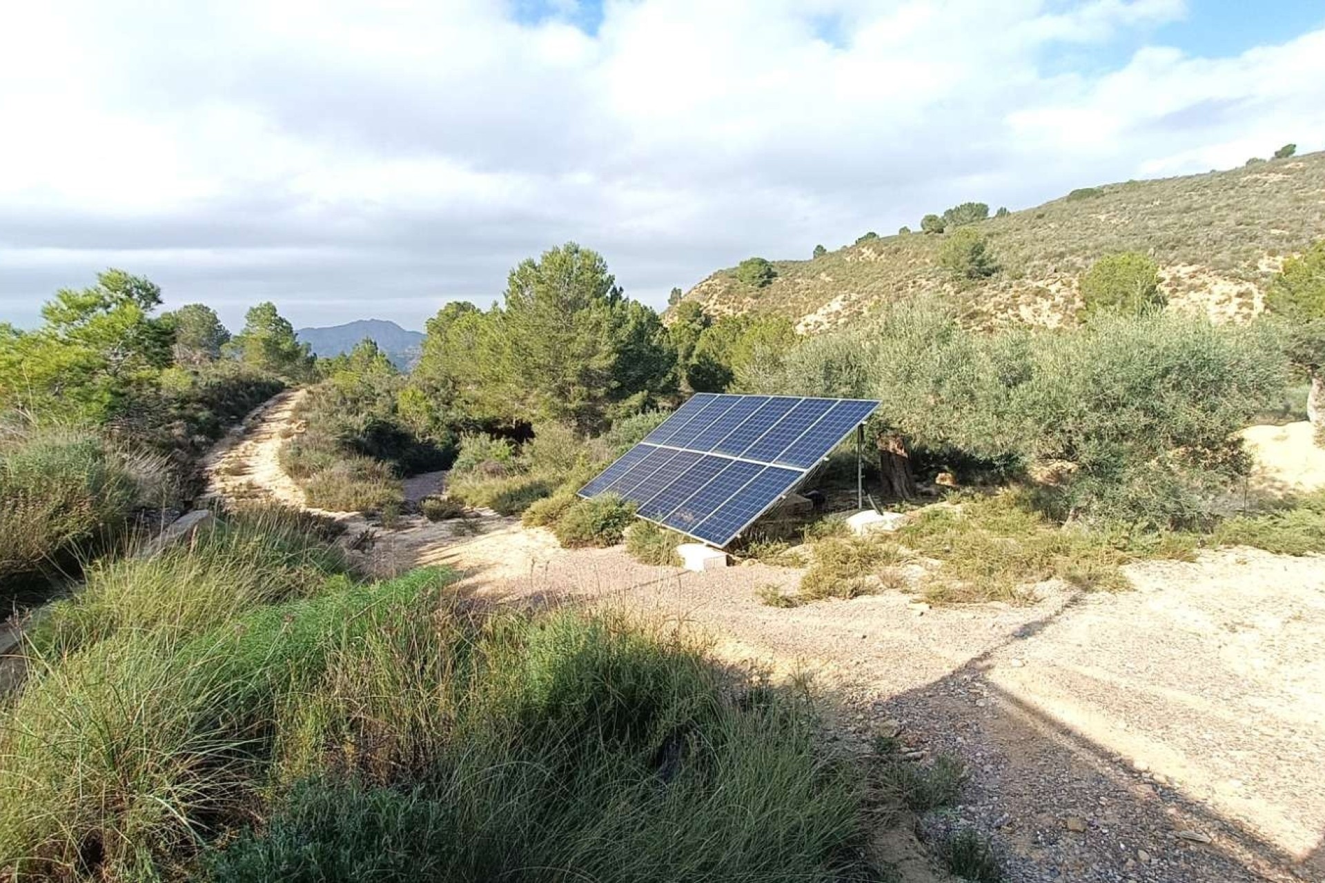 Venta - Finca / Casa de campo -
Gea y Truyols