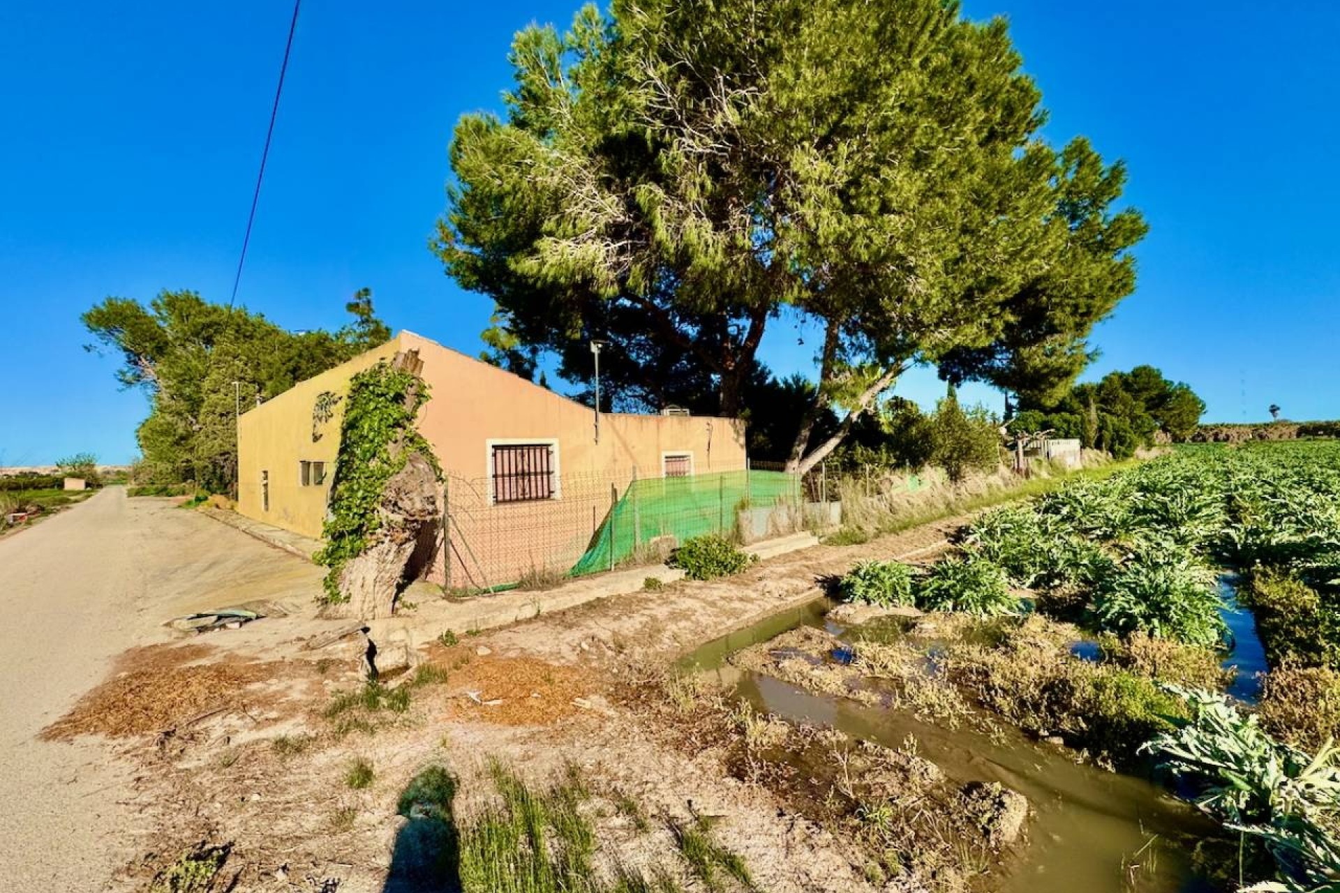 Venta - Finca / Casa de campo -
Guardamar del Segura