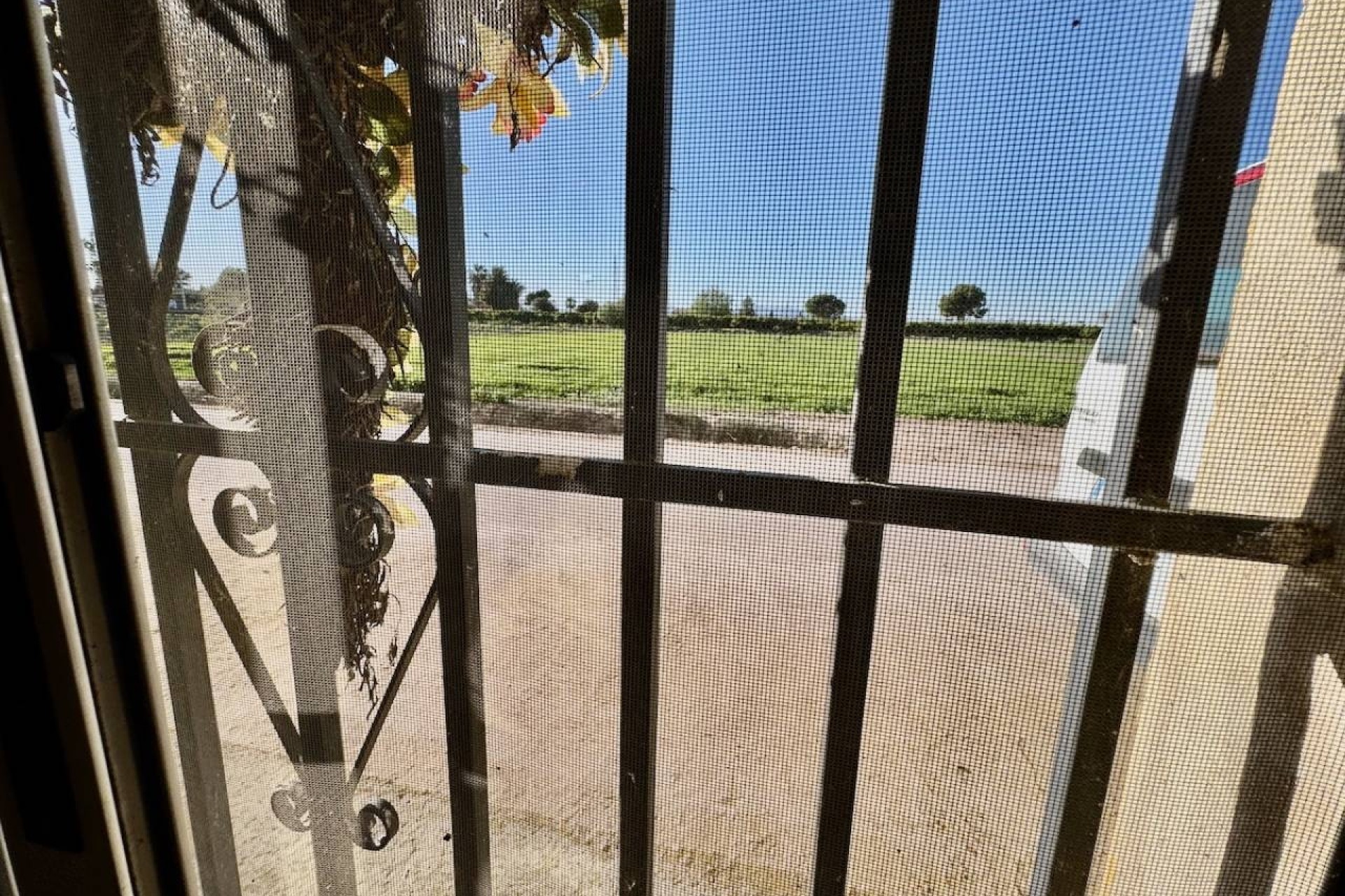 Venta - Finca / Casa de campo -
Guardamar del Segura