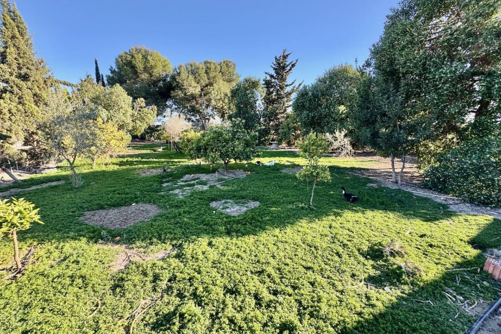 Venta - Finca / Casa de campo -
Guardamar del Segura