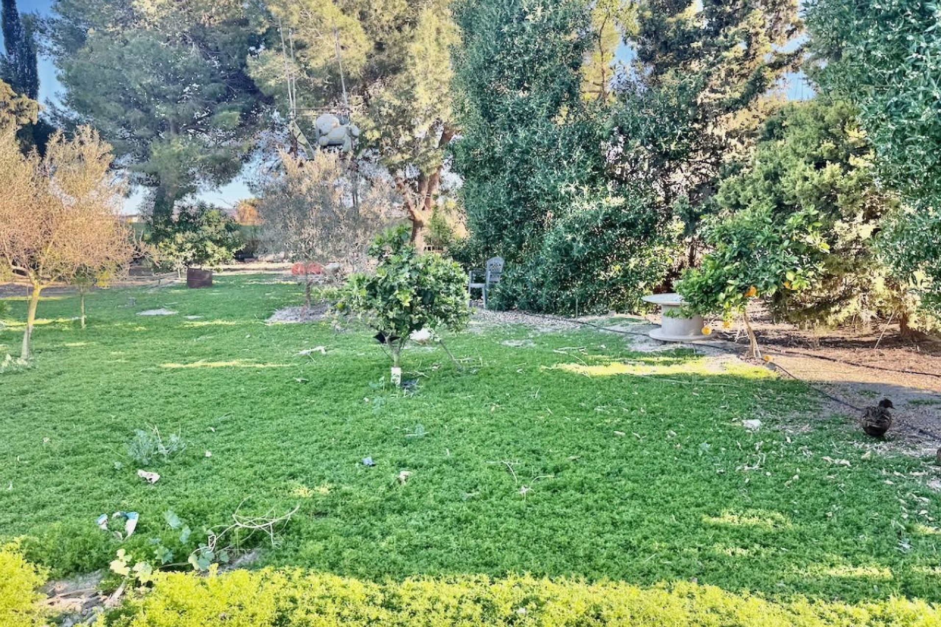 Venta - Finca / Casa de campo -
Guardamar del Segura