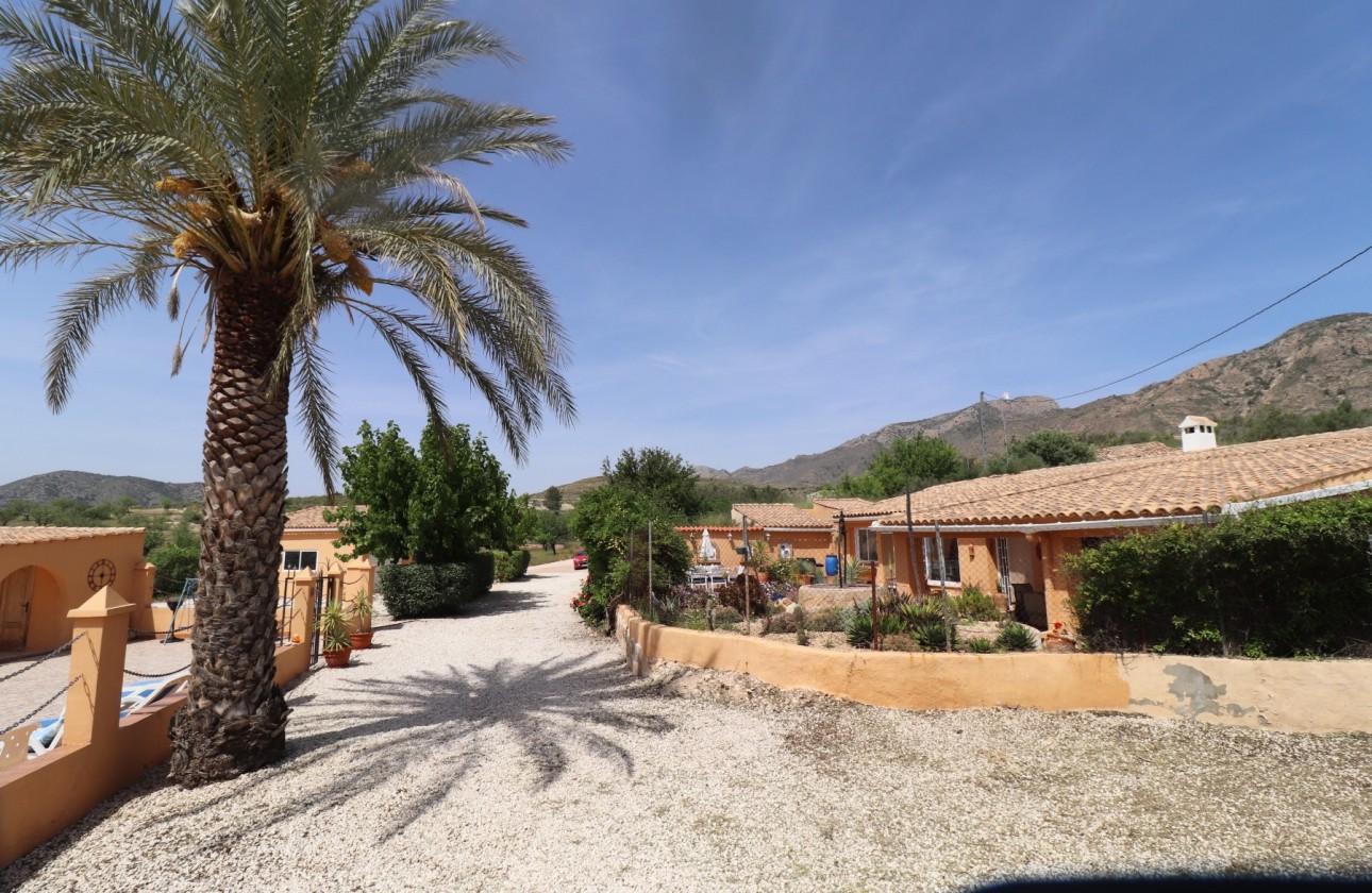 Venta - Finca / Casa de campo -
Hondón de las Nieves - La Canalosa