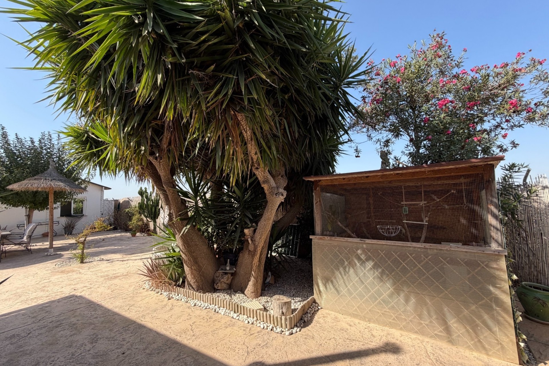 Venta - Finca / Casa de campo -
La Marina - Elche
