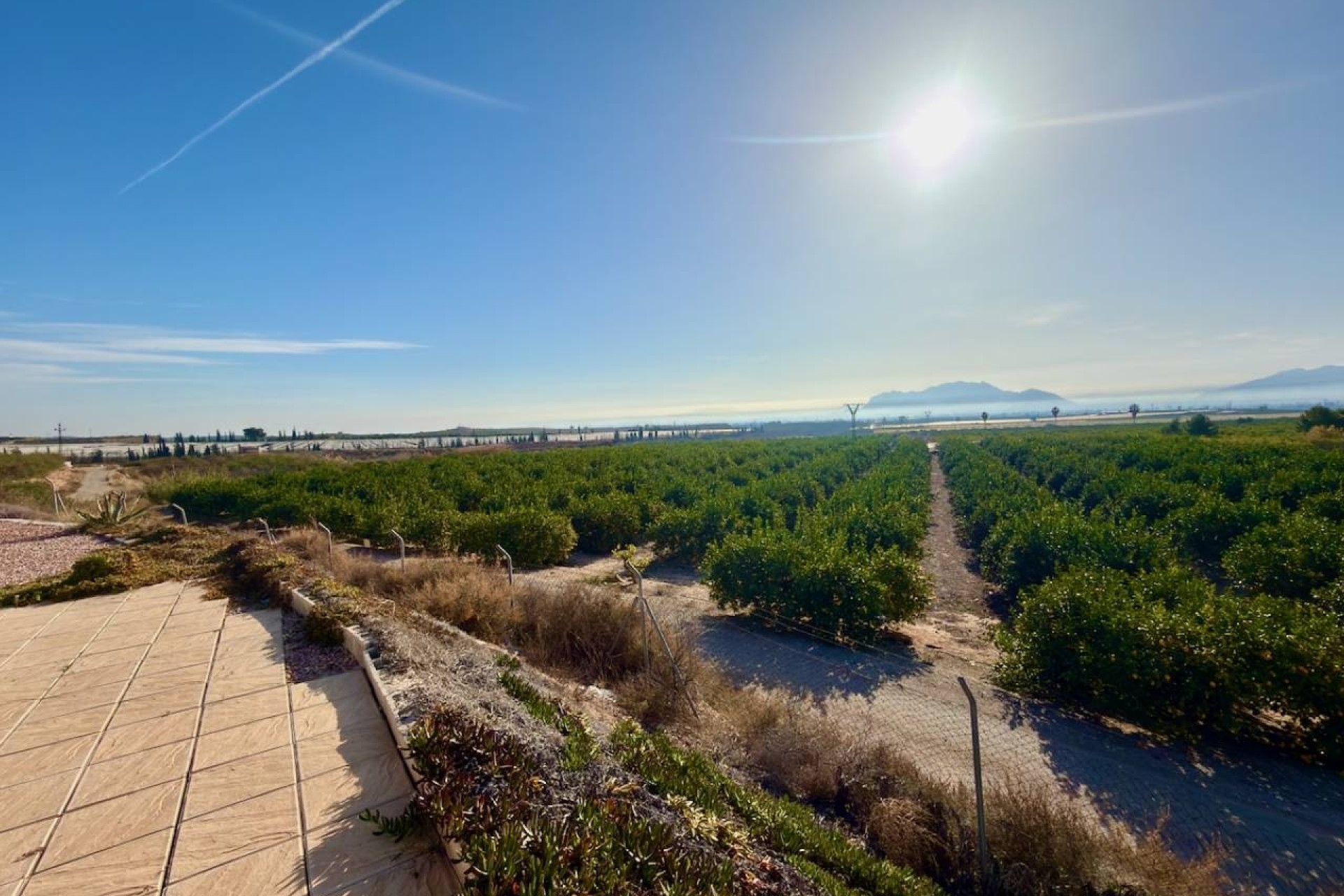 Venta - Finca / Casa de campo -
La Murada