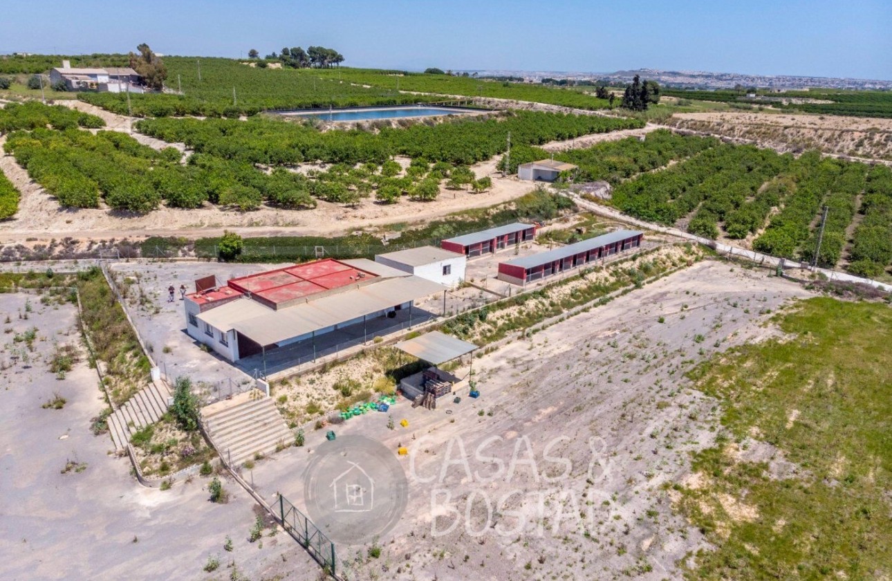 Venta - Finca / Casa de campo -
Los Montesinos