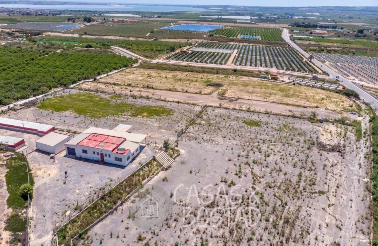 Venta - Finca / Casa de campo -
Los Montesinos