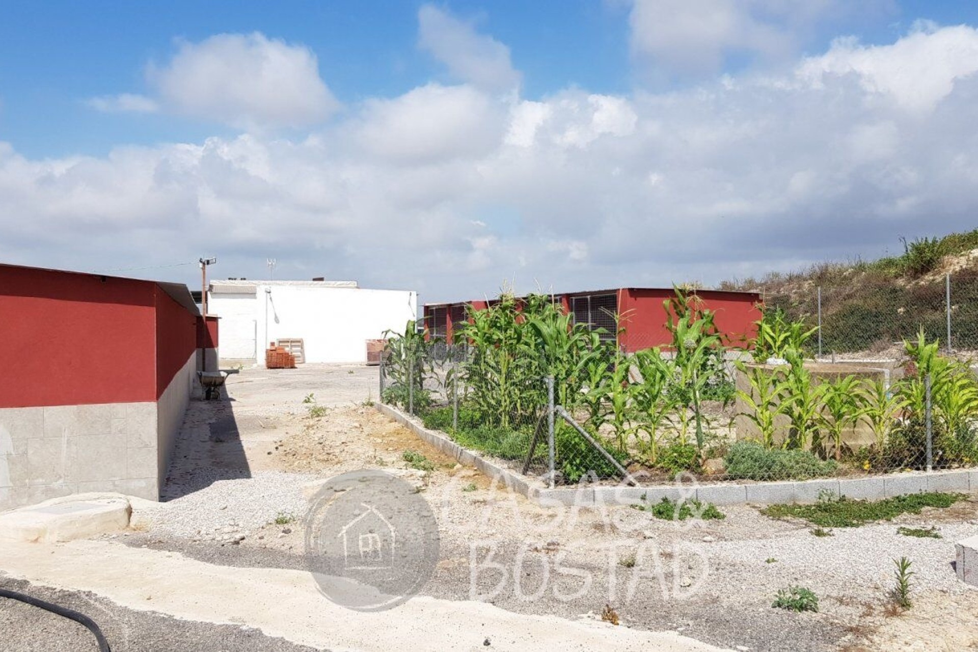 Venta - Finca / Casa de campo -
Los Montesinos
