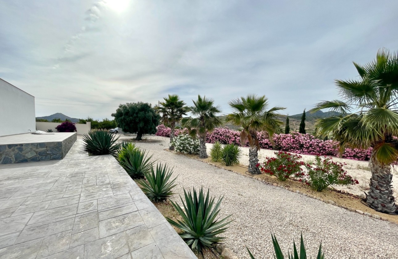 Venta - Finca / Casa de campo -
Macisvenda