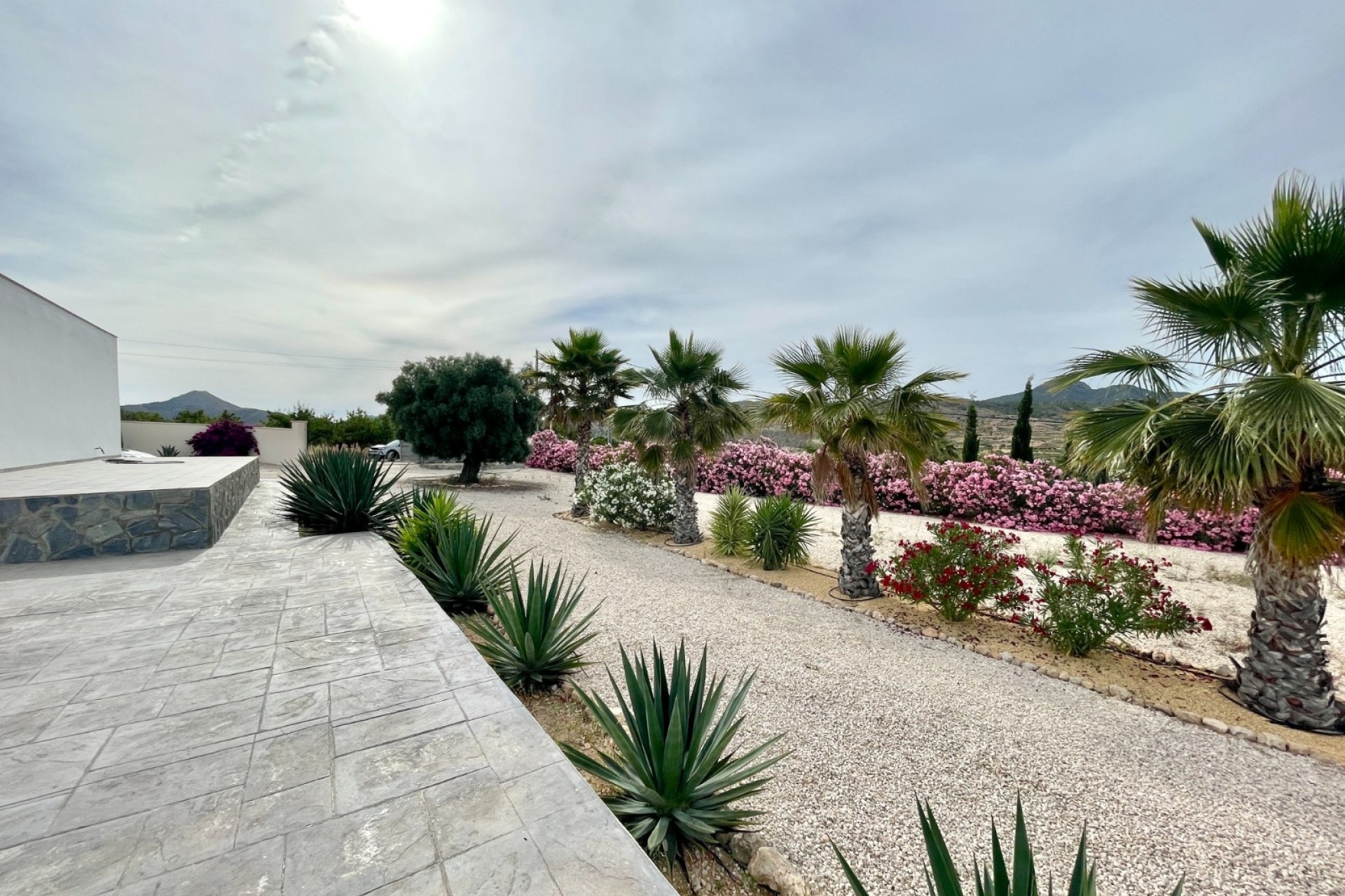 Venta - Finca / Casa de campo -
Macisvenda
