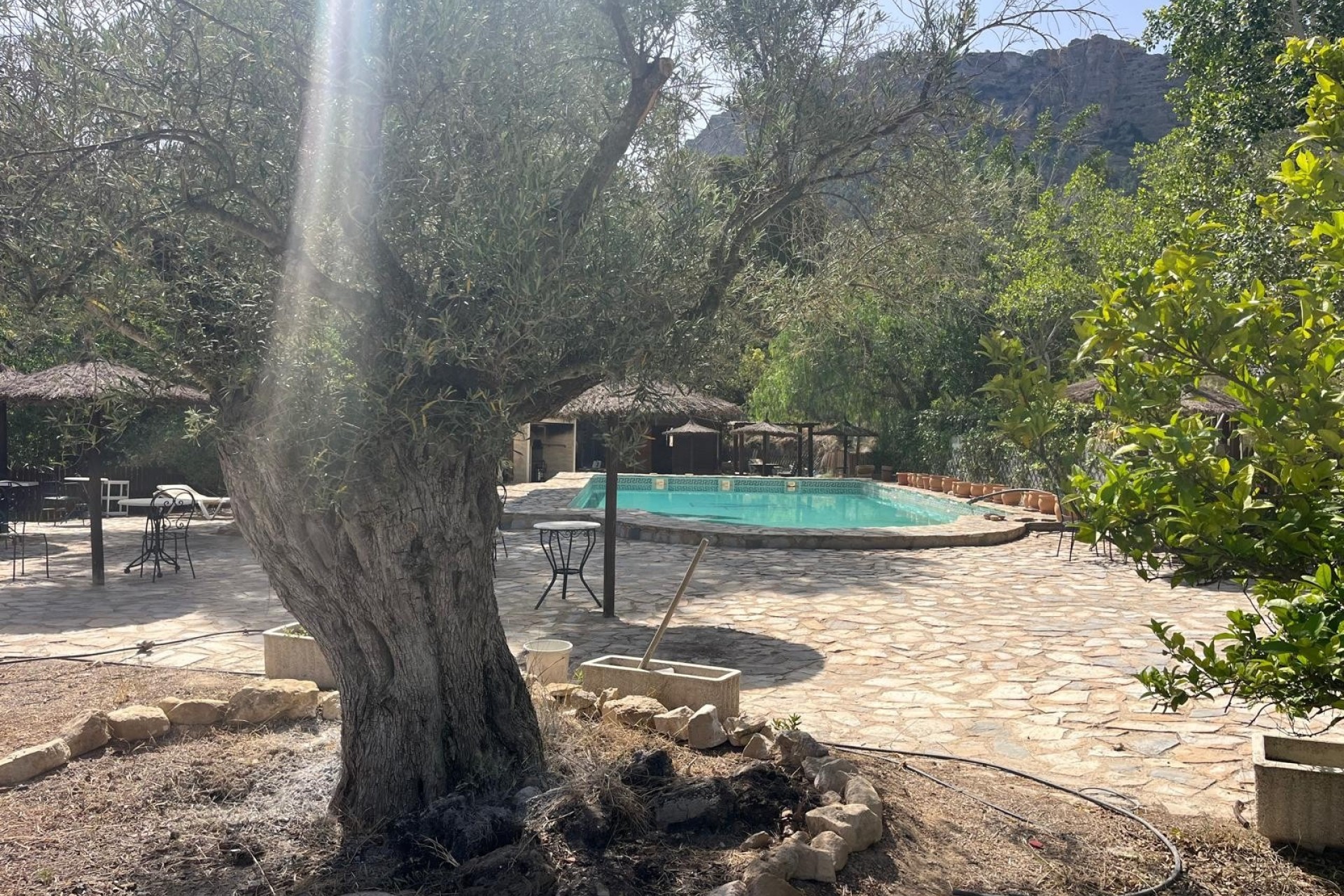Venta - Finca / Casa de campo -
Murcia