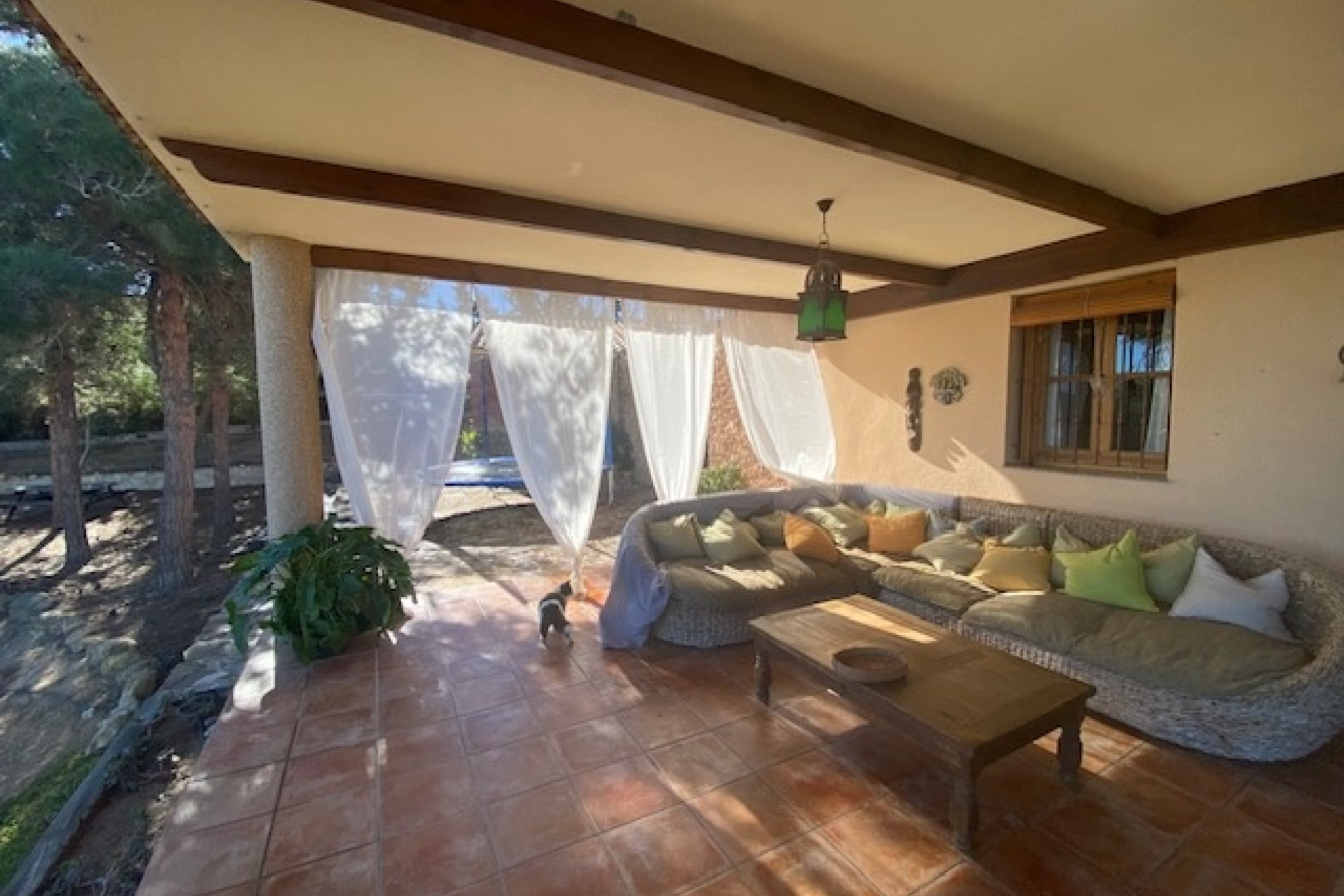 Venta - Finca / Casa de campo -
Murcia