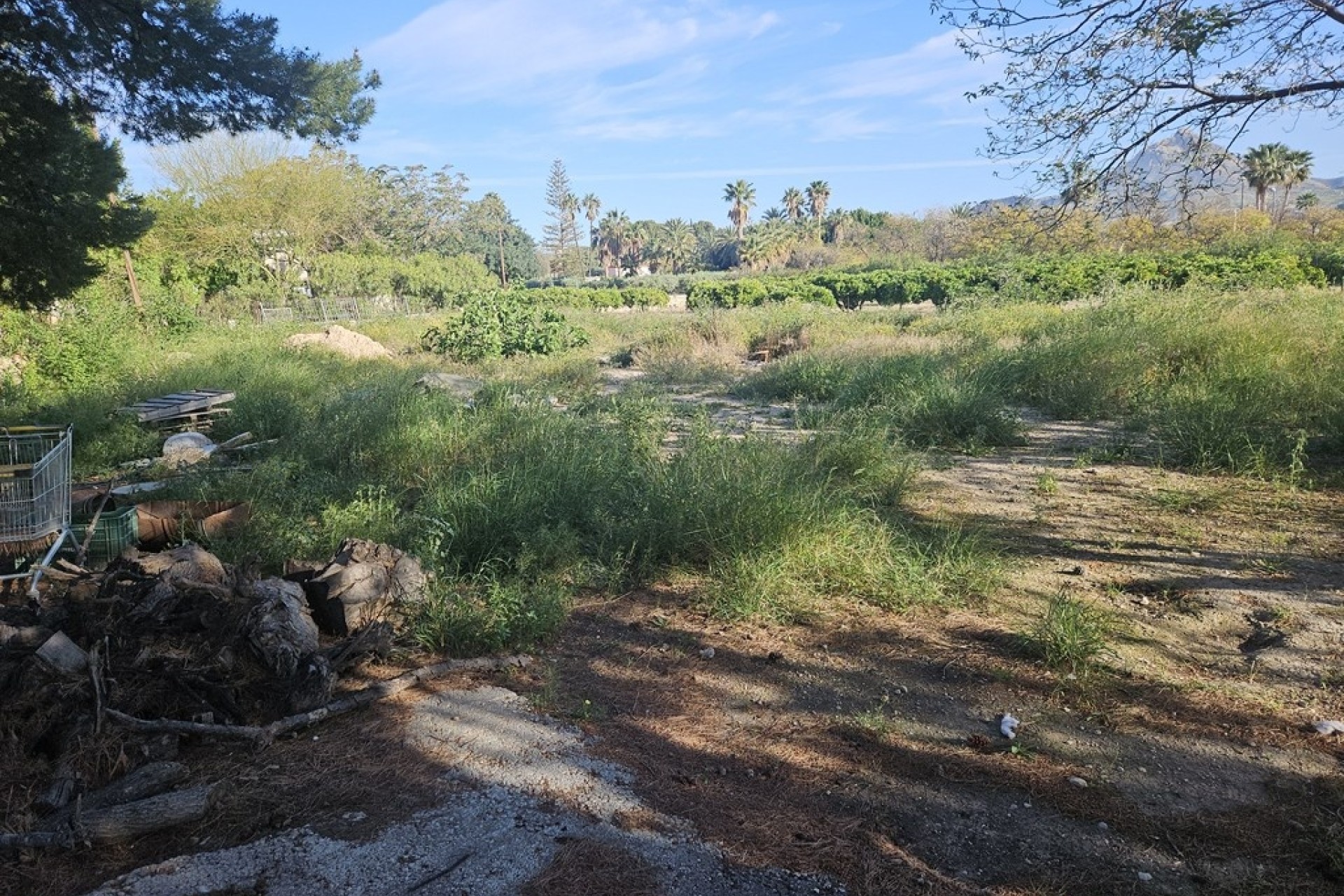 Venta - Finca / Casa de campo -
Novelda
