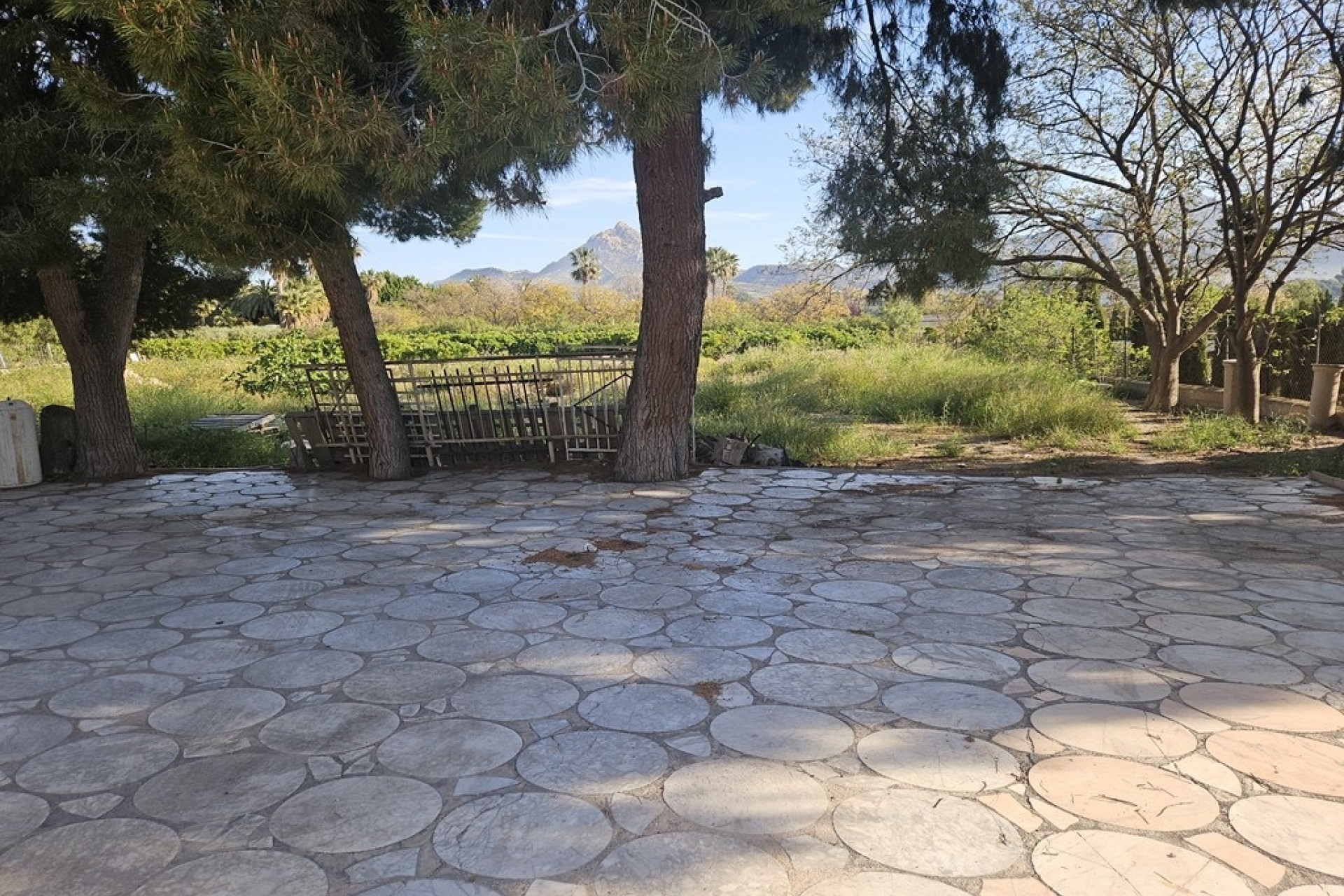 Venta - Finca / Casa de campo -
Novelda