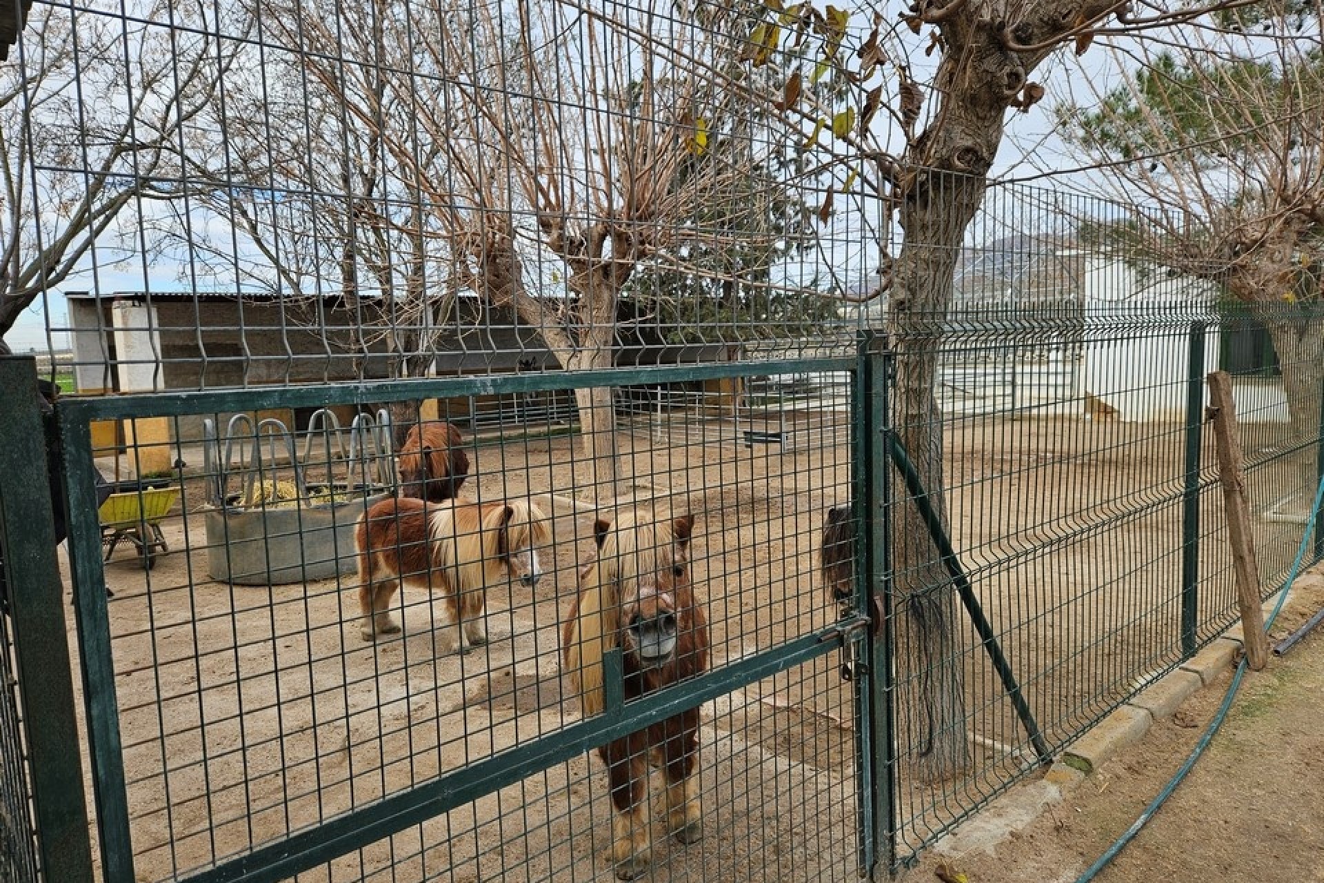 Venta - Finca / Casa de campo -
Orihuela