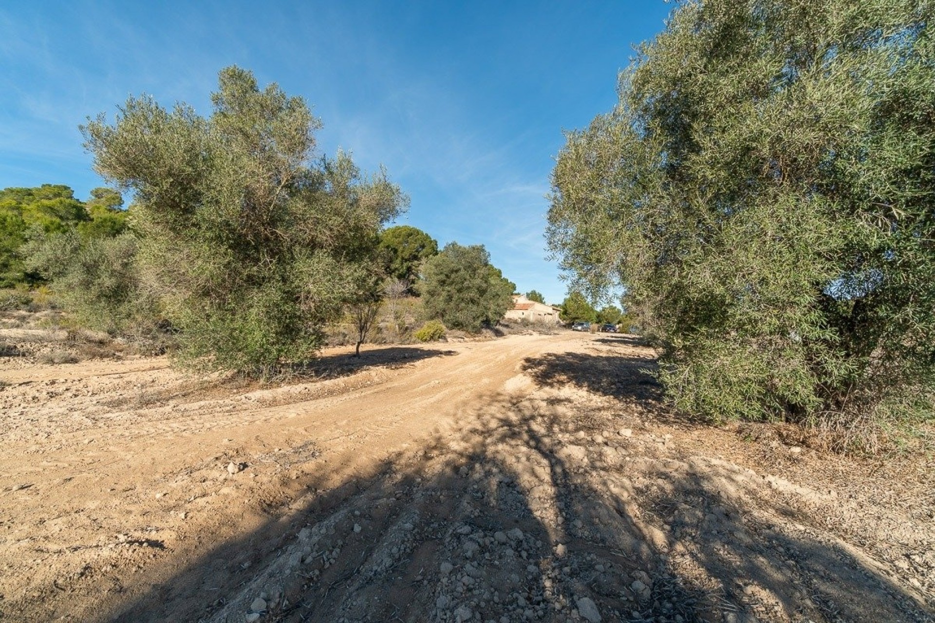 Venta - Finca / Casa de campo -
Pilar de la Horadada - Pinar de Campoverde