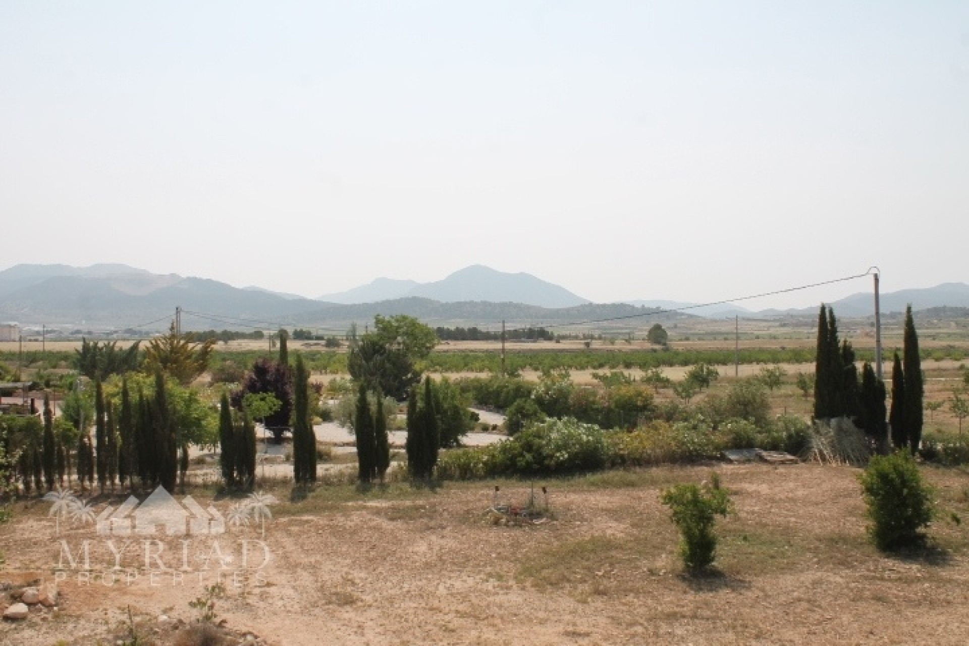 Venta - Finca / Casa de campo -
Pinoso - Pinoso Alicante