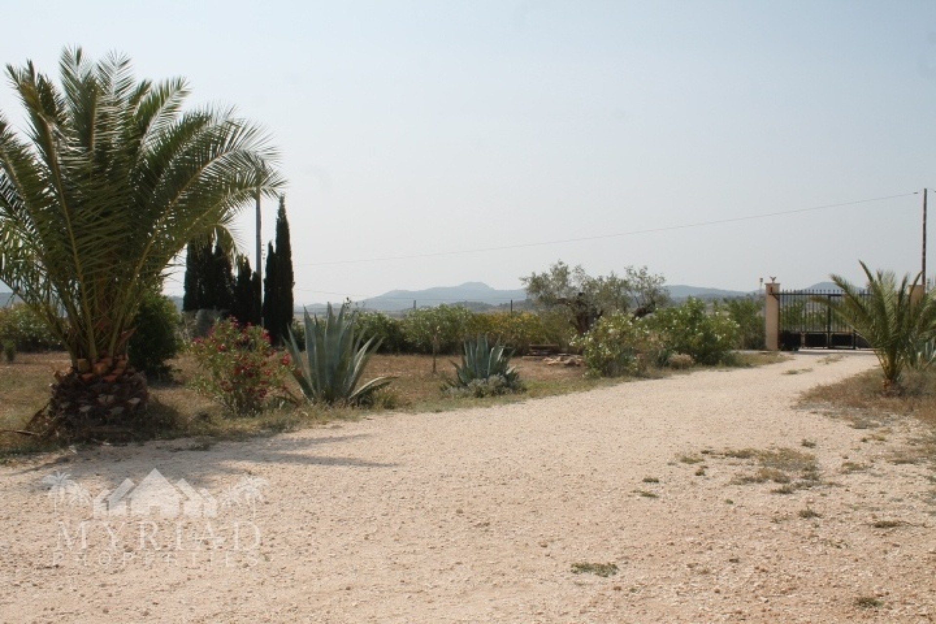 Venta - Finca / Casa de campo -
Pinoso - Pinoso Alicante