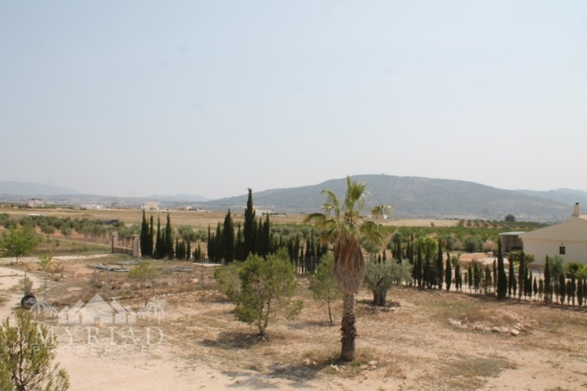 Venta - Finca / Casa de campo -
Pinoso - Pinoso Alicante
