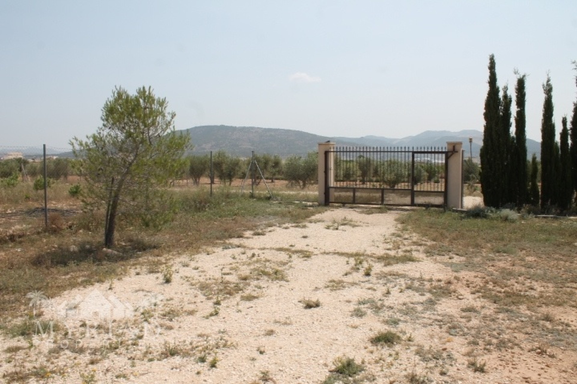 Venta - Finca / Casa de campo -
Pinoso - Pinoso Alicante