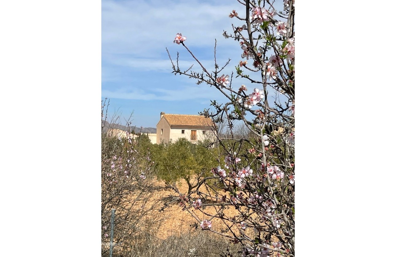 Venta - Finca / Casa de campo -
Raspay - Raspay Murcia