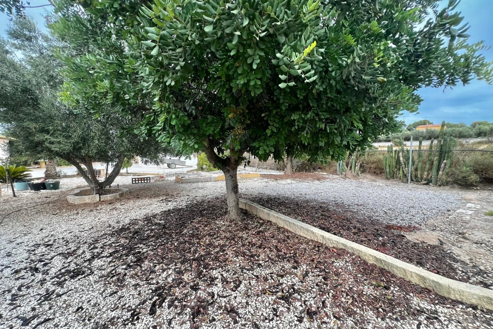 Venta - Finca / Casa de campo -
San Fulgencio - San Fulgencio - Country