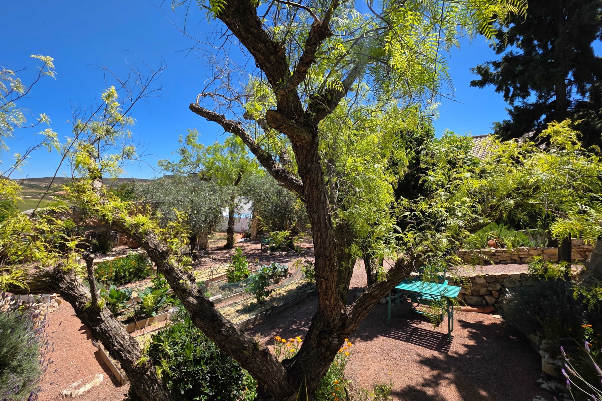 Venta - Finca / Casa de campo -
Torre Del Rico