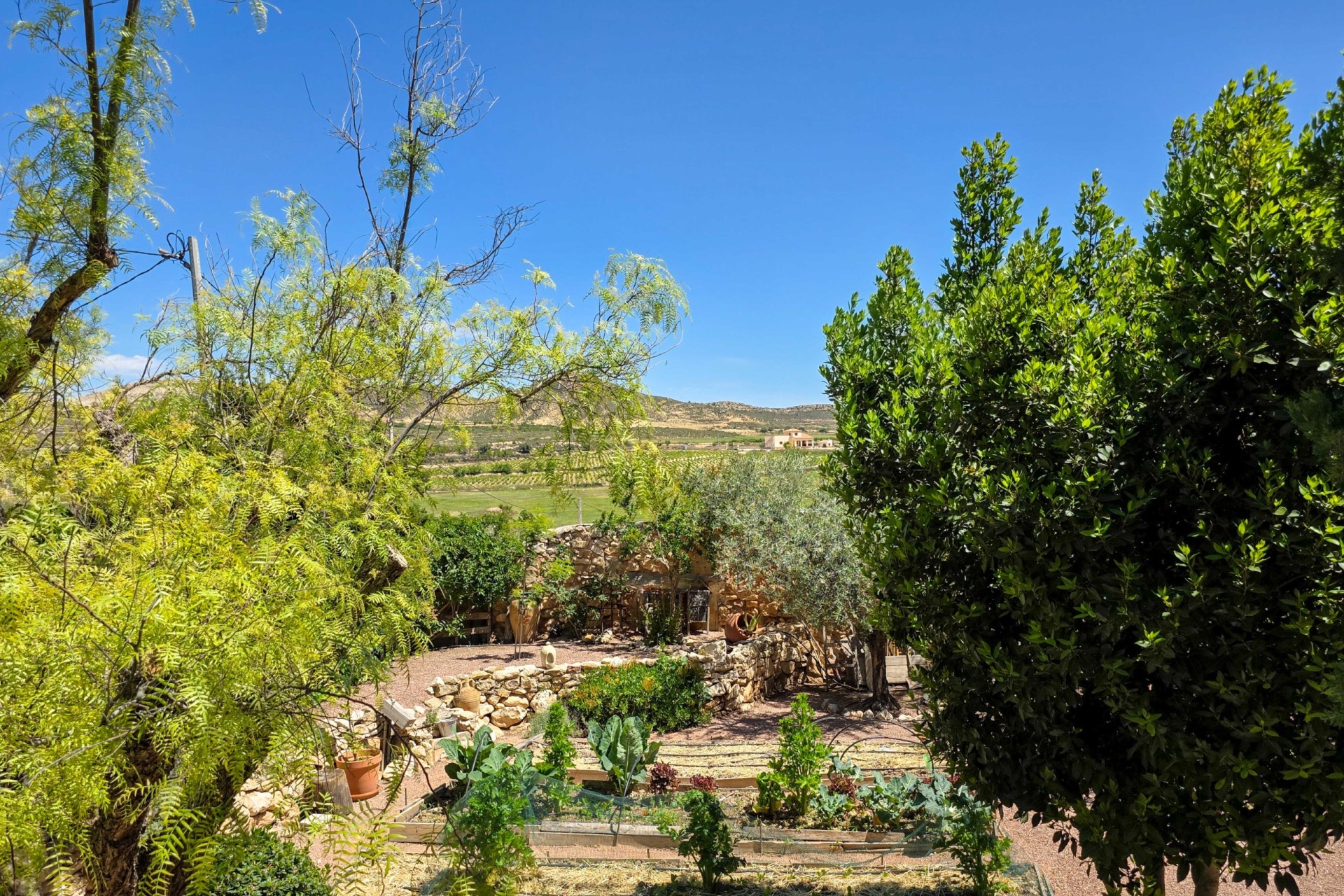Venta - Finca / Casa de campo -
Torre Del Rico