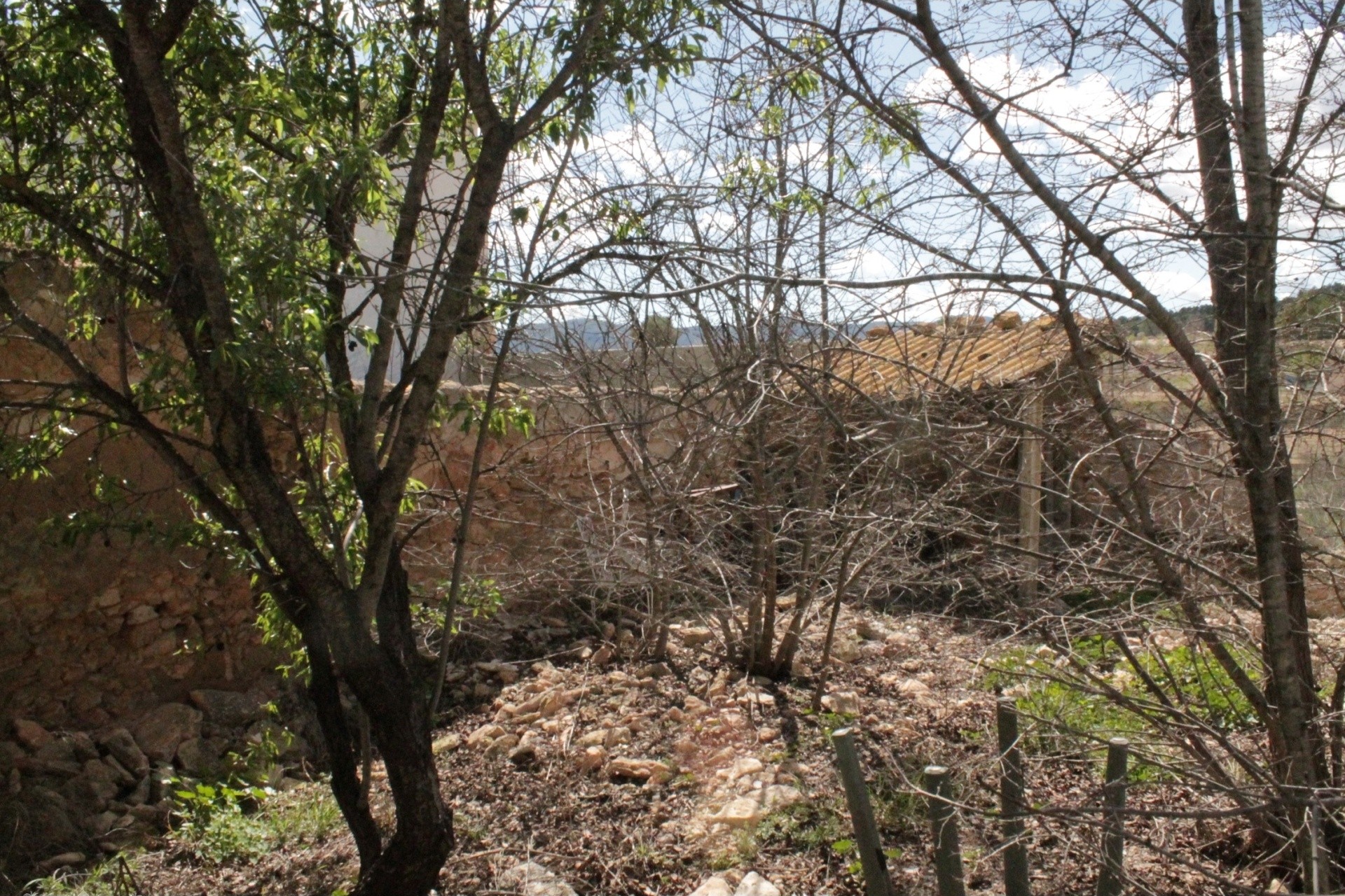 Venta - Finca / Casa de campo -
&Uacute;beda - &Uacute;beda Alicante
