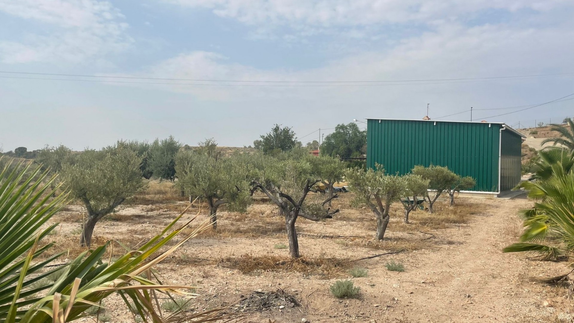 Venta - Finca Propiedad rural -
Abanilla